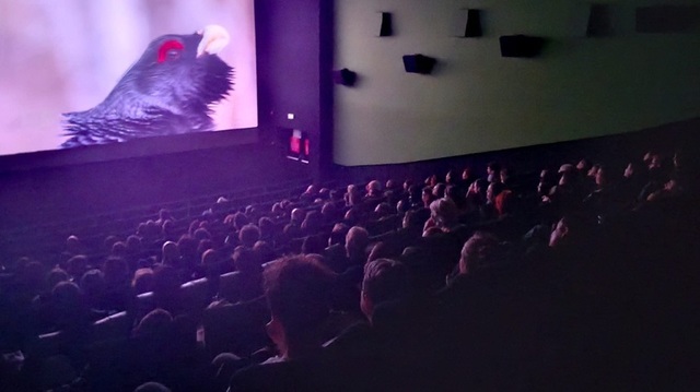 Alpin Film Festival: Horia Colibășanu va prezenta ascensiunea pe Nanga Parbat la Brașov