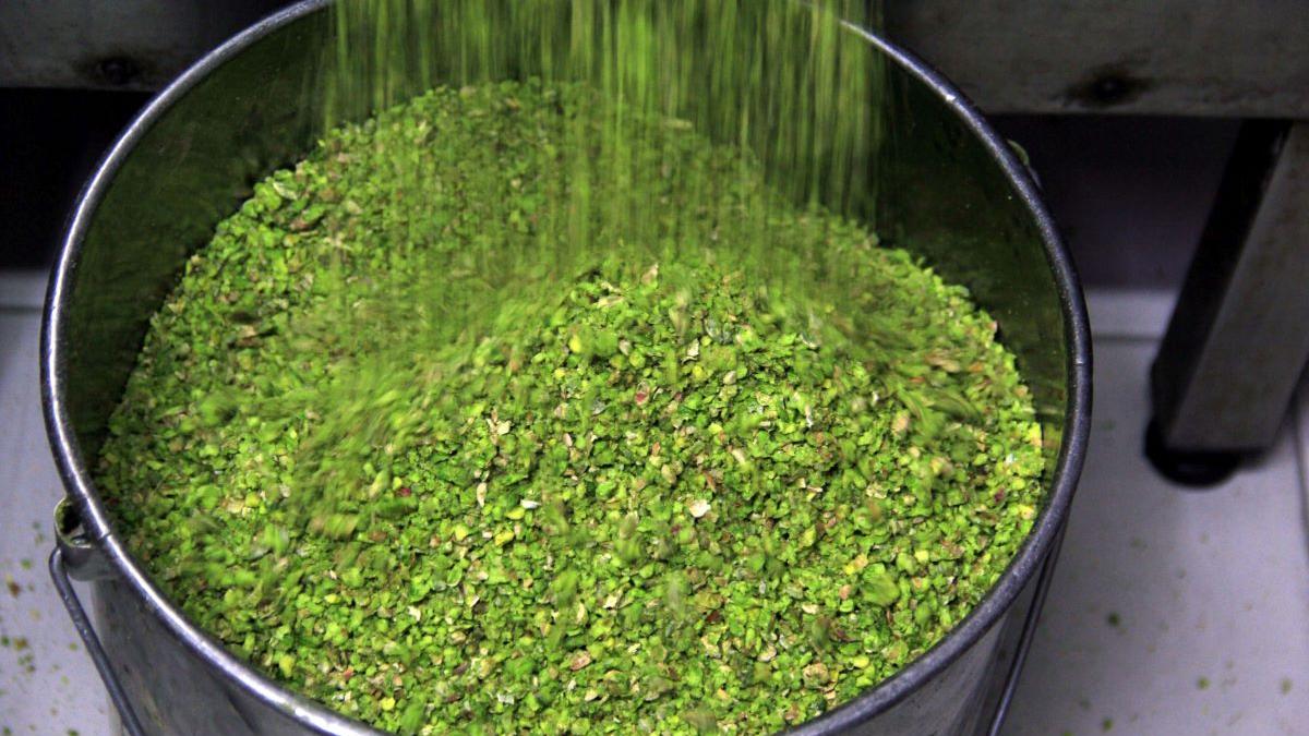 Prima recoltă de fistic în sudul țării: agricultorii testează culturi exotice în Dăbuleni