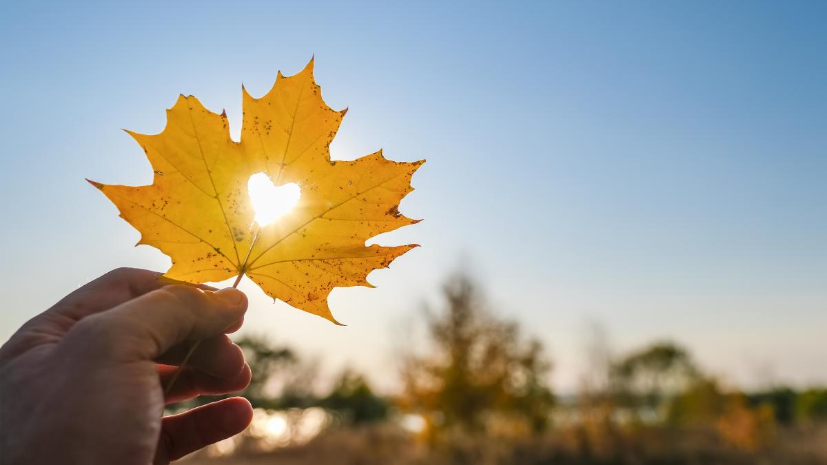 Vremea la finalul lunii septembrie: Temperaturile vor crește în weekend, iar la mare se poate încă merge