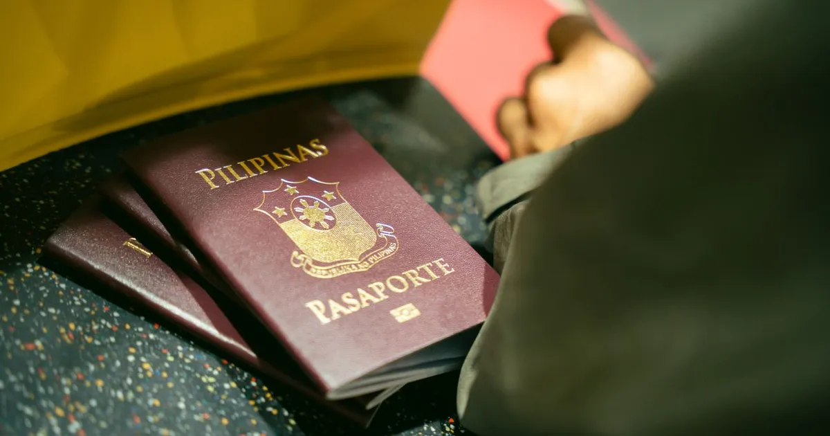 Ce vede un polițist pe ecran când scanează pașaportul. Procesul de verificare la frontieră