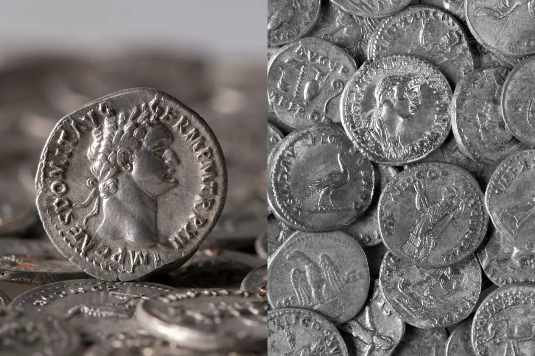 Tezaur masiv de argint descoperit în Germania: peste 900 de monede romane găsite pe un câmp