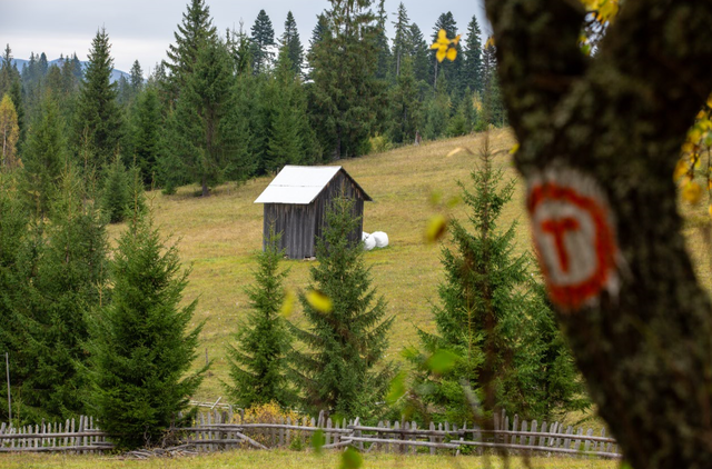 Proiectul Terra Memoriae va transforma Via Transilvanica într-un spațiu de cercetare și memorie culturală