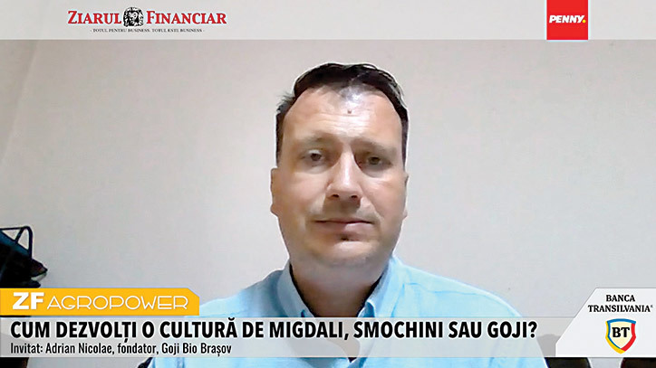 Potențialul culturii de goji în România: Asociația Producătorilor de Goji caută parteneri pentru un proiect integrat