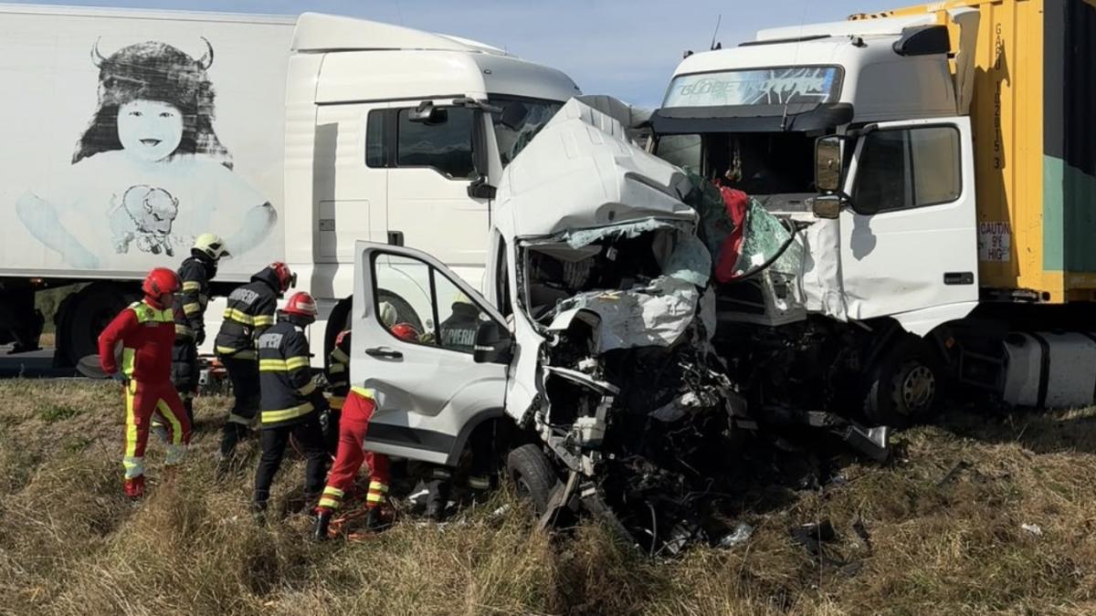Tragedie pe E70: Două femei britanice și șapte câini au murit într-un accident violent