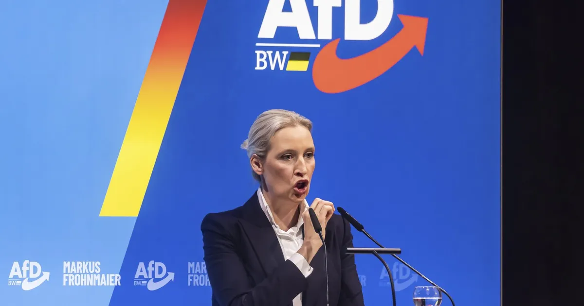 Ascensiunea AfD în Saxonia Inferioară: Partidul de extremă dreaptă și-a triplat scorul la alegerile locale