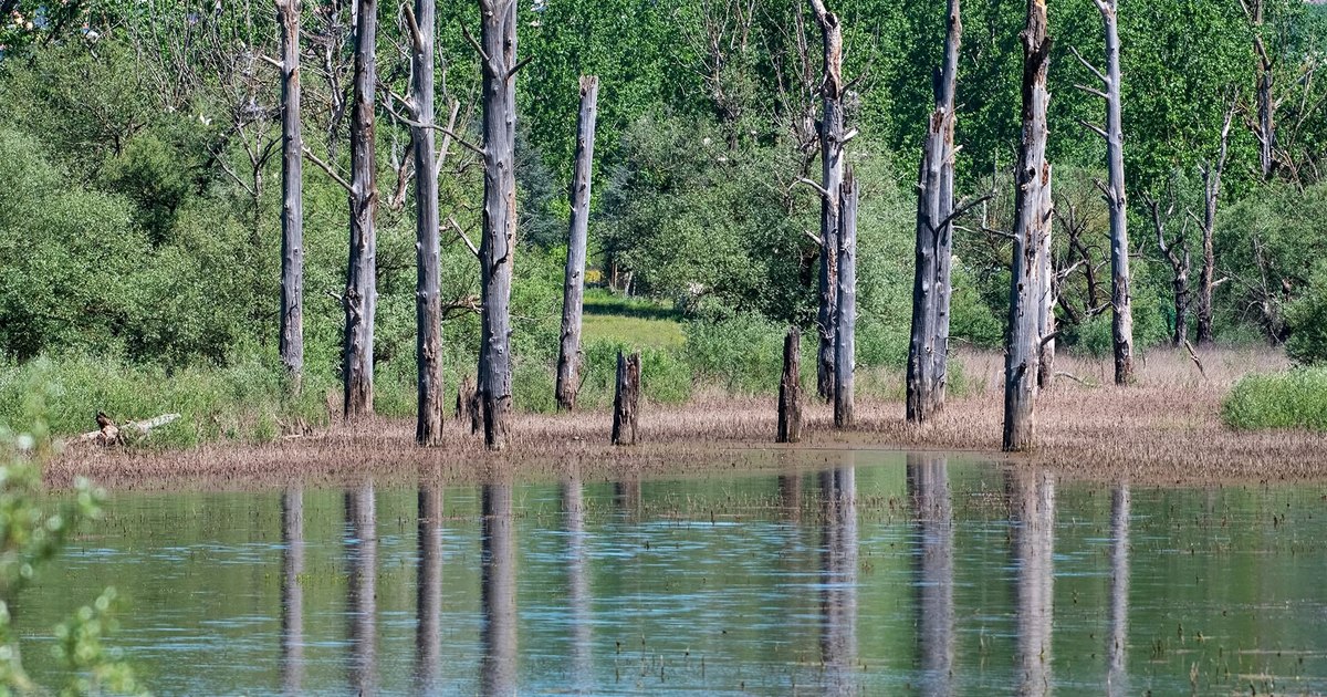 Fenomenul Lacului Canterno: Cum explicația geologică a învins legendele despre „lacul fantomă” din Italia