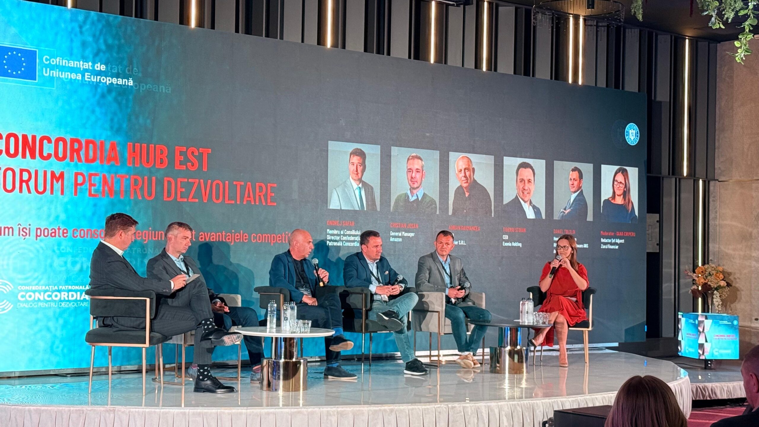Antreprenor: Orașele mici care pierd populație trebuie lăsate să moară, banii trebuie direcționați altundeva