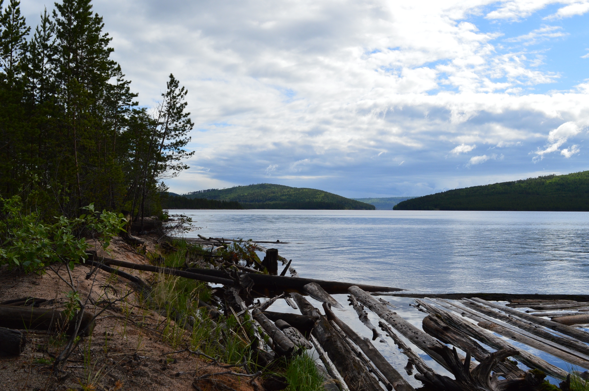 Experiment ecologic în Finlanda: 1.500 de brazi de Crăciun au revitalizat un lac