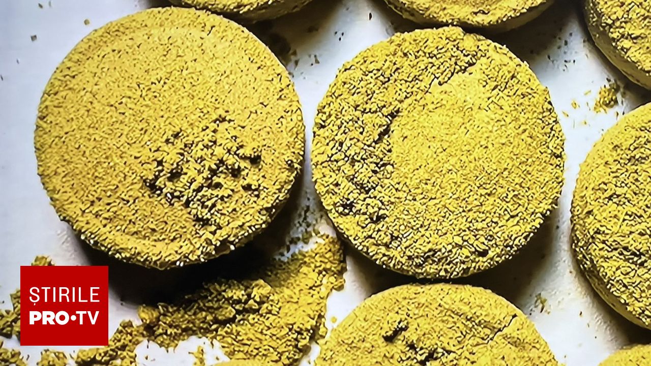 Pericolul kratomului: planta cu efecte opioide care se găsește în benzinării și provoacă dependență