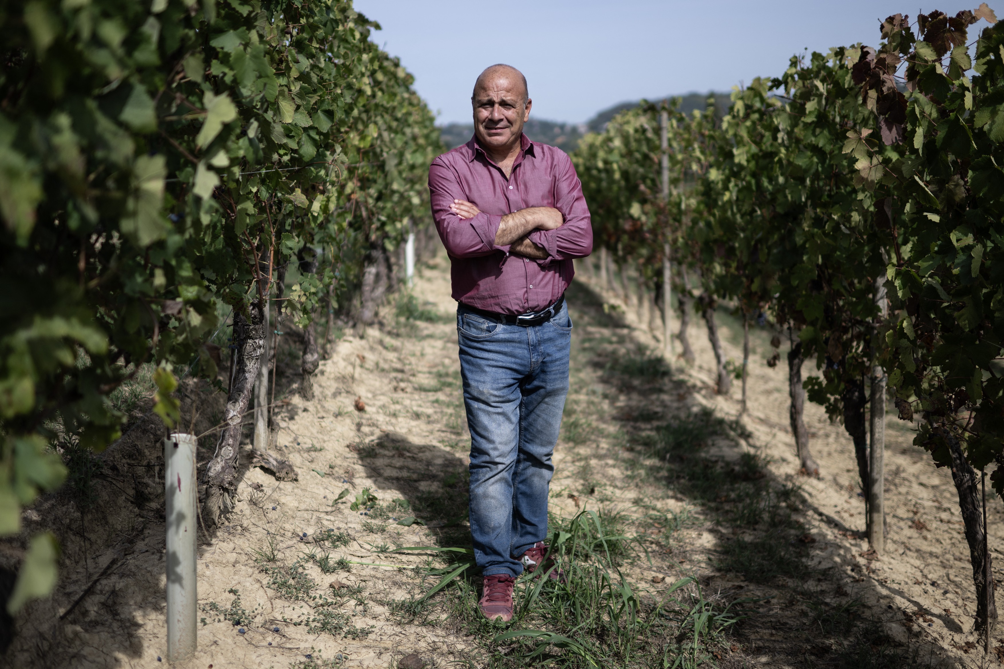 Recoltă de vin de excepție în Italia, dar producătorii se confruntă cu stocuri uriașe și scăderi de preț
