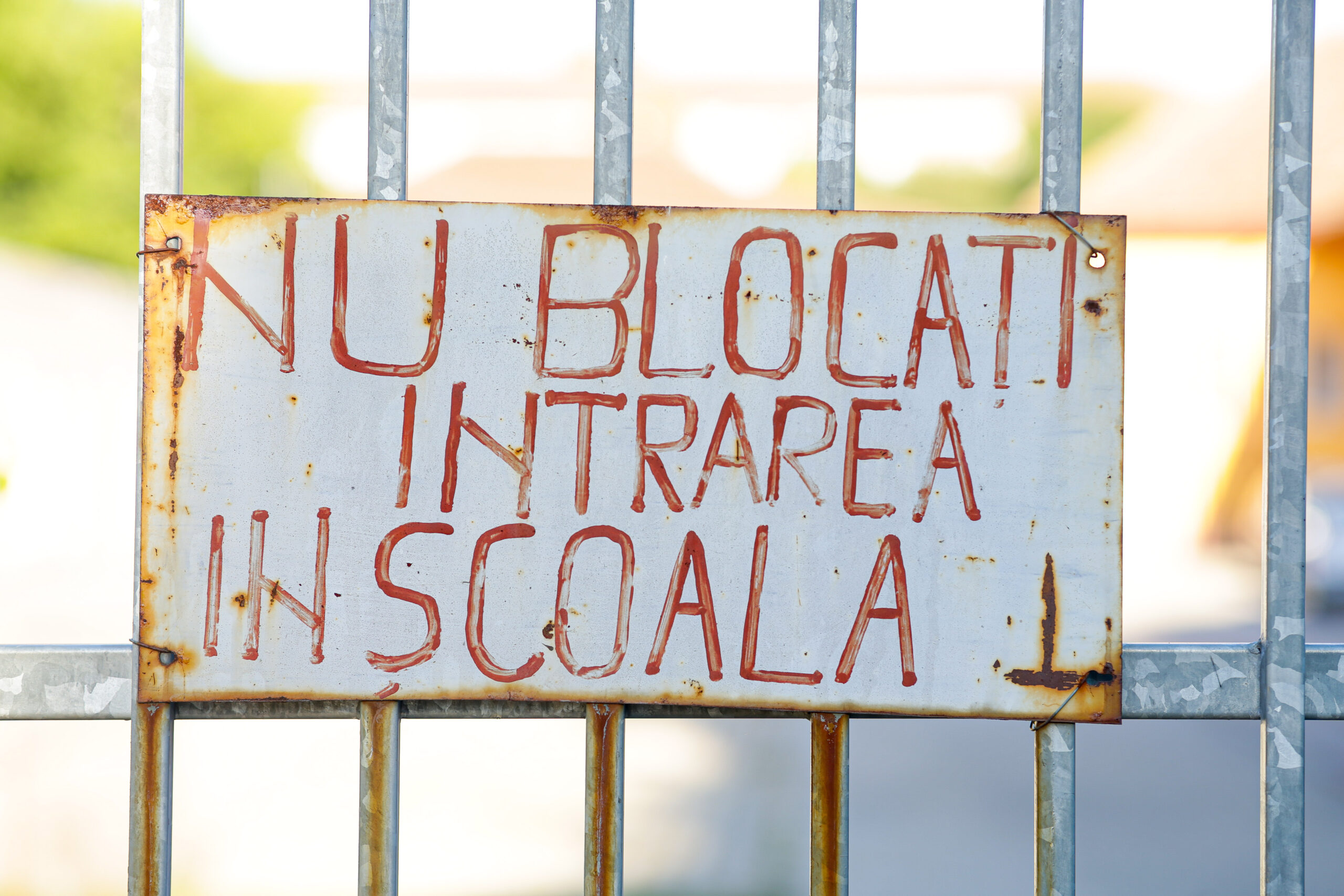 Măsuri noi în educație după rezultatele PISA: Programul Școala altfel și Săptămâna verde vor deveni mai riguroase