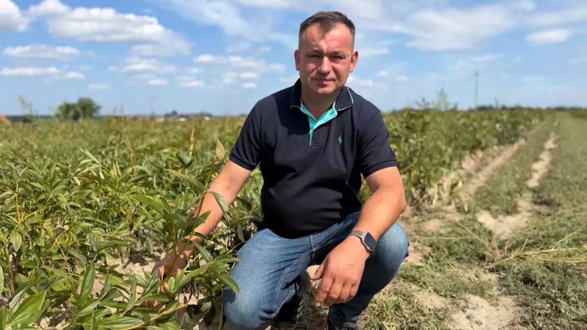 Fermierul care a înlocuit creșterea bovinelor cu 65 de hectare de bujori în Polonia