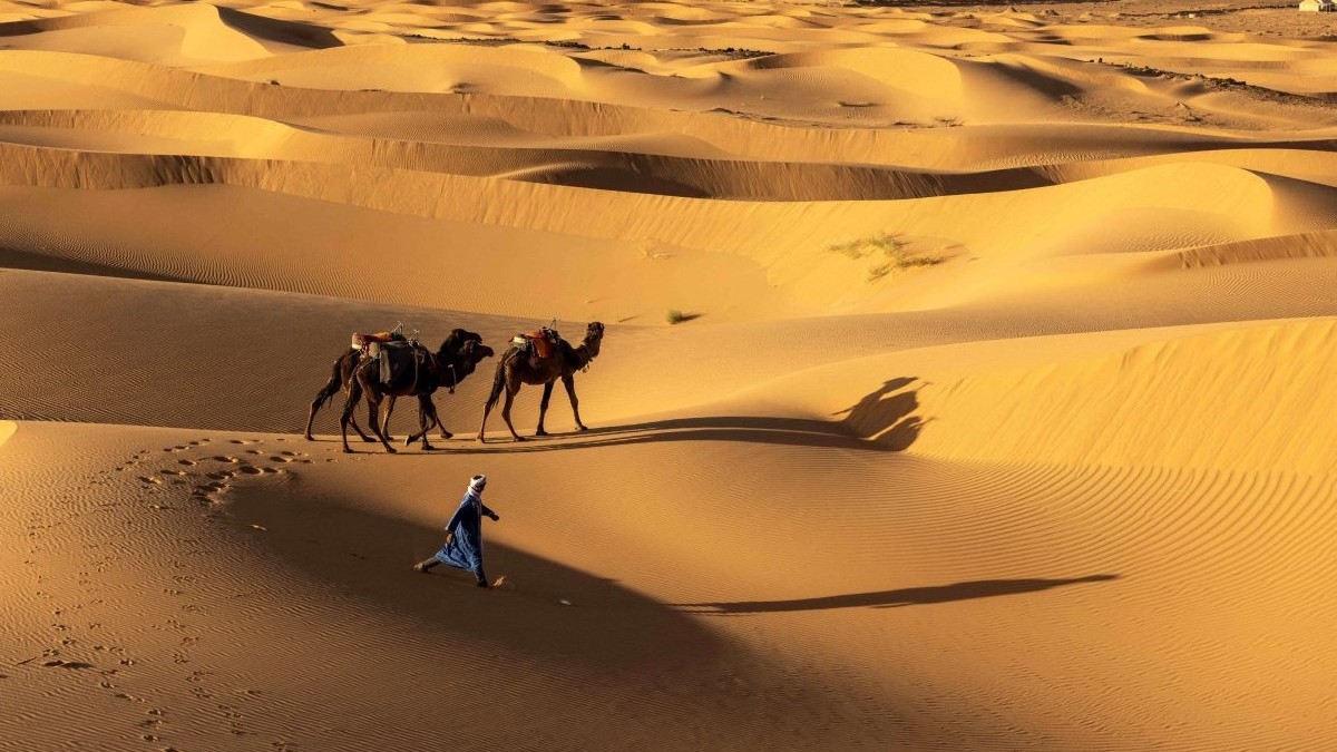 Sahara era o zonă verde cu lacuri și râuri acum 8.000 de ani, arată o descoperire în Maroc