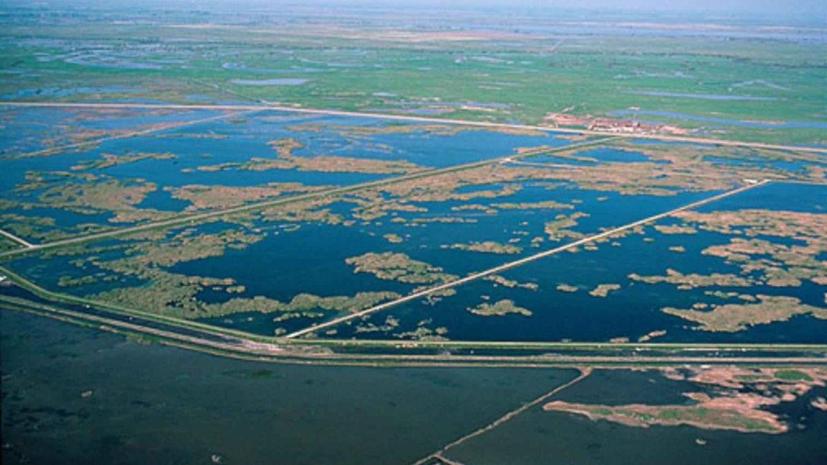 Dezastrul Kesterson: Cum a transformat irigațiile agricole un paradis al păsărilor într-o zonă toxică