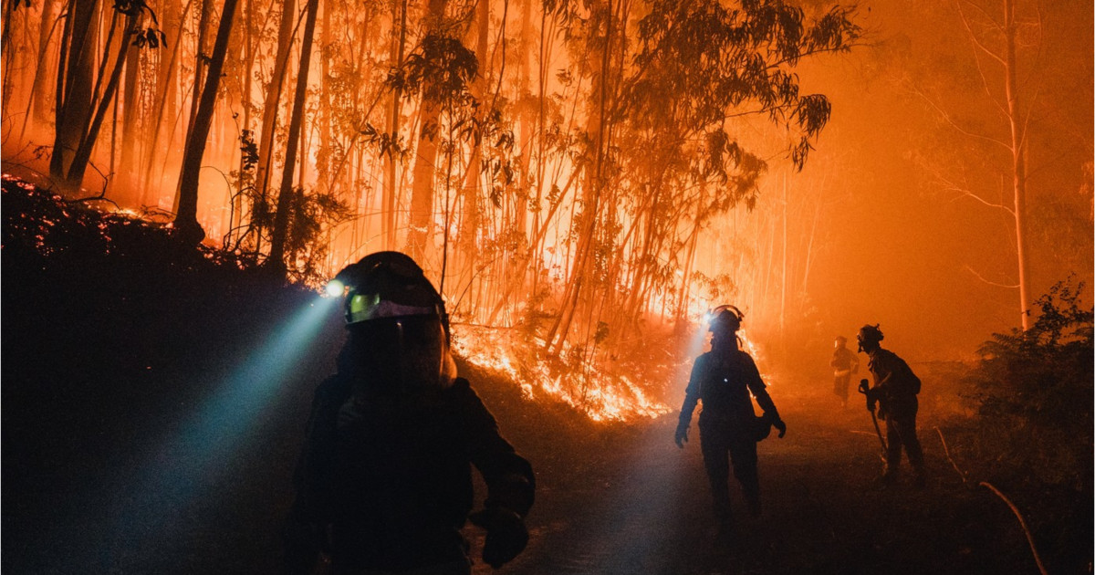 Generațiile viitoare vor fi expuse la incendii extreme de aproape două ori mai mult decât străbunicii lor