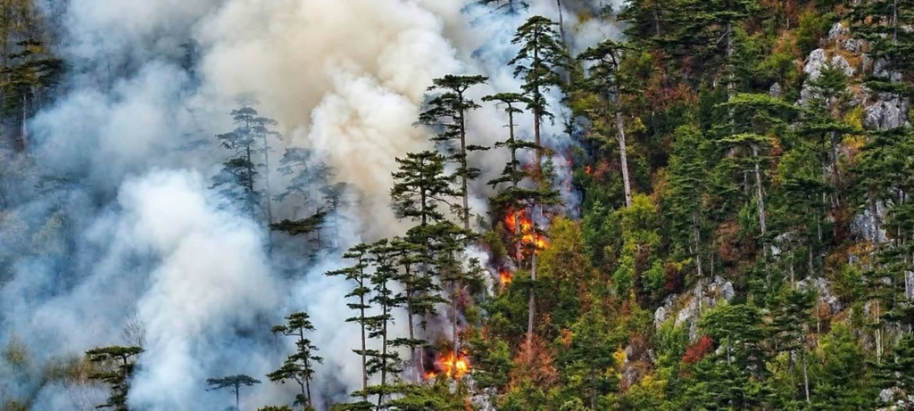 Incendiul din Parcul Național Domogled–Valea Cernei continuă de șapte săptămâni; activiștii cer ajutor UE