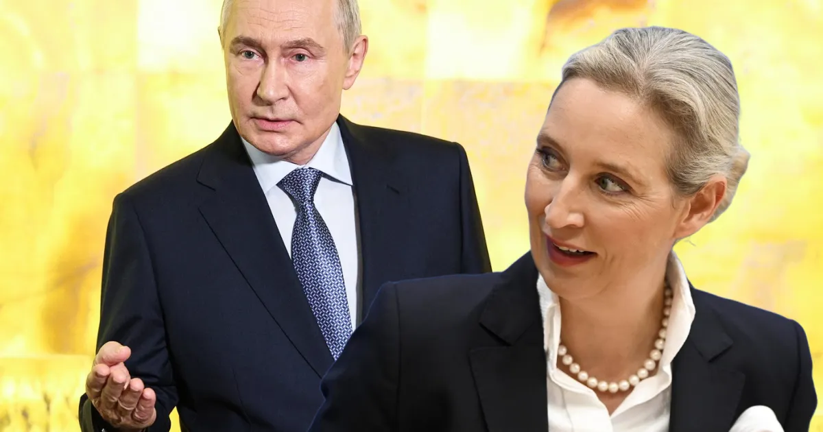 Securitatea Germaniei sub presiune: Riscul ca informațiile secrete să ajungă la Moscova sau la rețele criminale