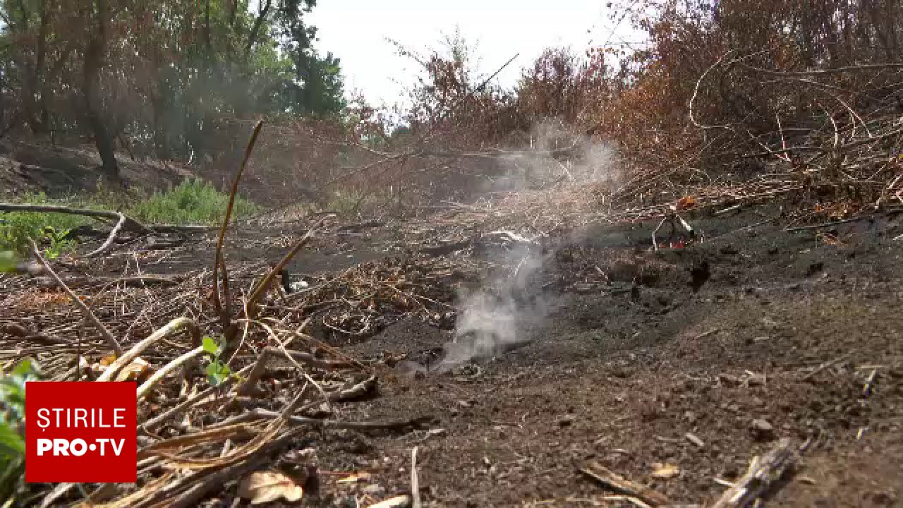 Incendiu subteran în Parcul Lunca Mureșului: Amoniacul ar putea fi cauza focului care arde de aproape un an