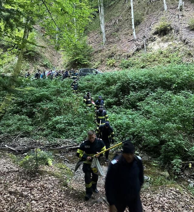 Incendiu de fond forestier în Vâlcea: Flăcările au cuprins 31 de hectare în zona Băile Olănești