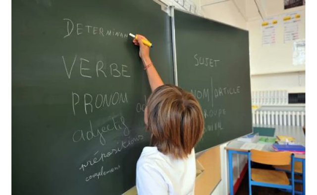 Raport OCDE: Profesorii din România au salarii mai mari decât alți angajați cu studii superioare