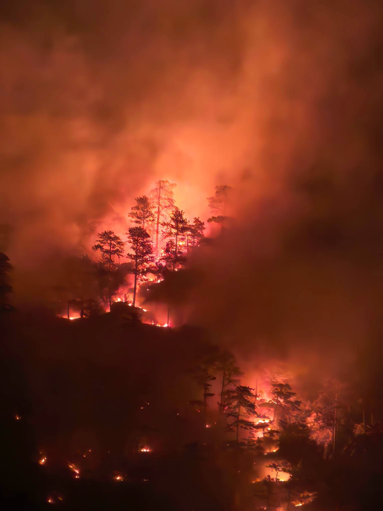 Incendiul din Parcul Național Domogled–Valea Cernei afectează 400 de hectare de pădure