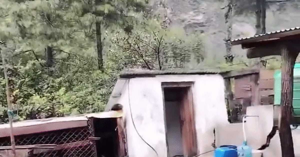 Nepal, devastat de inundații și alunecări de teren masive; bilanț tragic și avalanșă în Himalaya