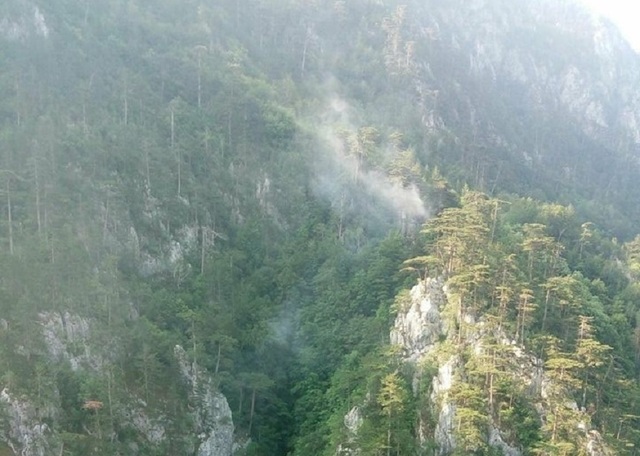 Elicoptere Black Hawk sunt mobilizate în Parcul Național Domogled pentru stingerea unui incendiu masiv