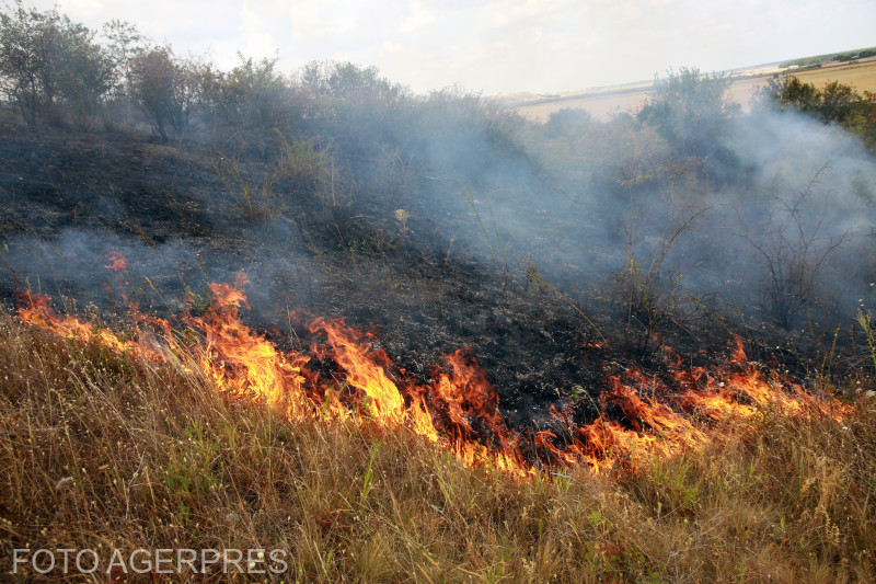 Incendii masive în Parcul Național Domogled și la Băile Olănești: intervenție cu aeronave Spartan