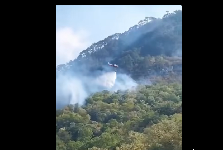 Mobilizarea elic helicopterelor Black Hawk la Domogled: Gabriel Păun cere ajutor suplimentar din Europa