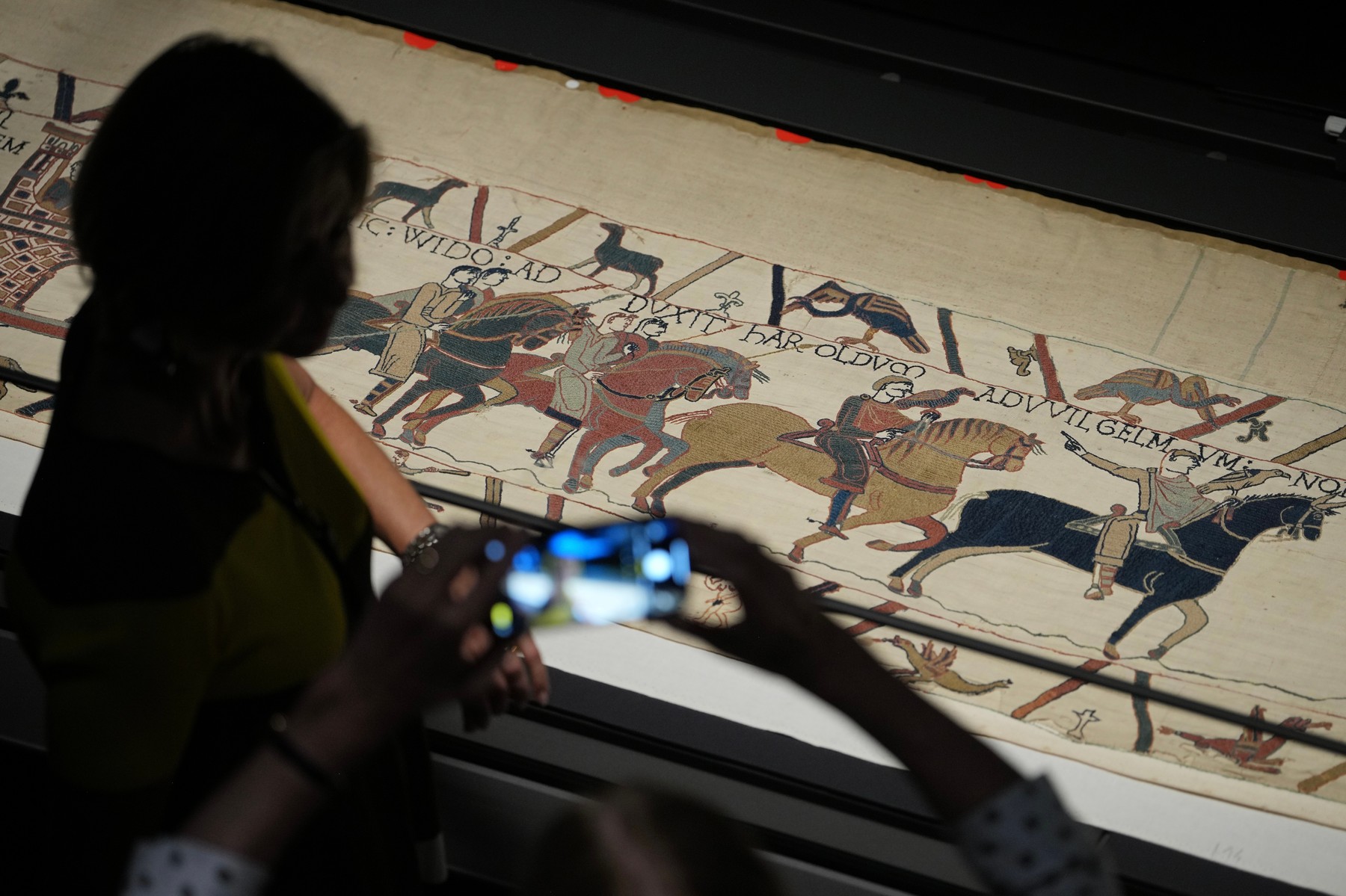 British Museum este dat în judecată pentru lipsa accesibilității la expoziția cu Tapiseria de la Bayeux