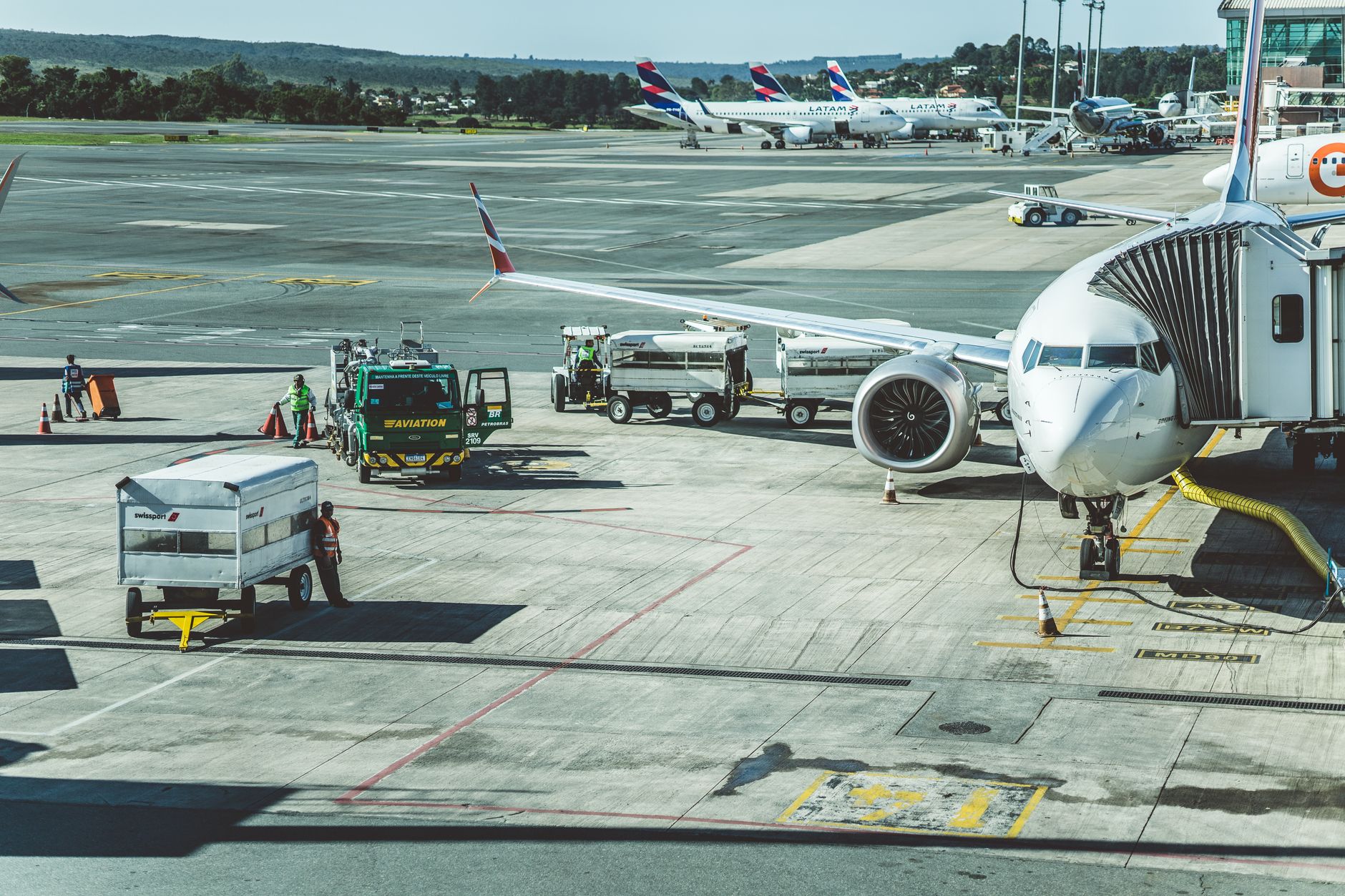 Compania AnimaWings a depus cererea de insolvență după problemele tehnice ale avioanelor