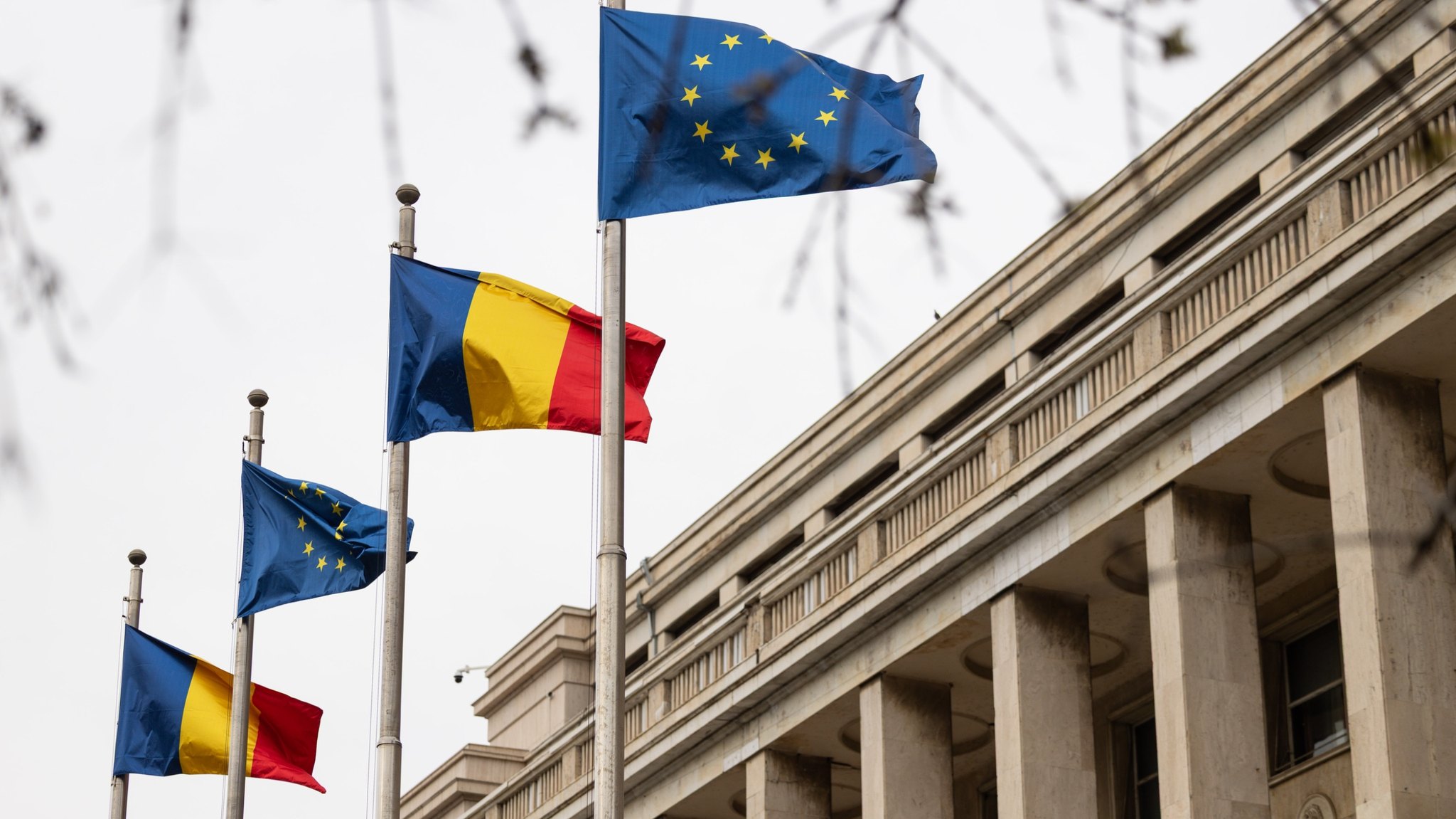 Protest masiv în Piața Victoriei: Fermierii și crescătorii de animale protestează împotriva deciziilor din agricultură