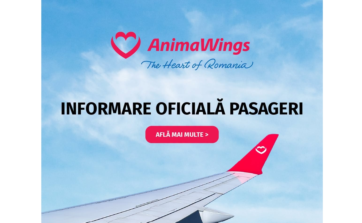Compania aeriană AnimaWings a intrat în reorganizare judiciară din cauza problemelor tehnice și a costurilor