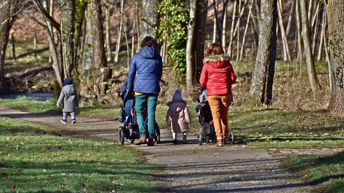 Comunitățile de români și moldoveni din Elveția sunt mai unite, conform unei profesoare din Zürich