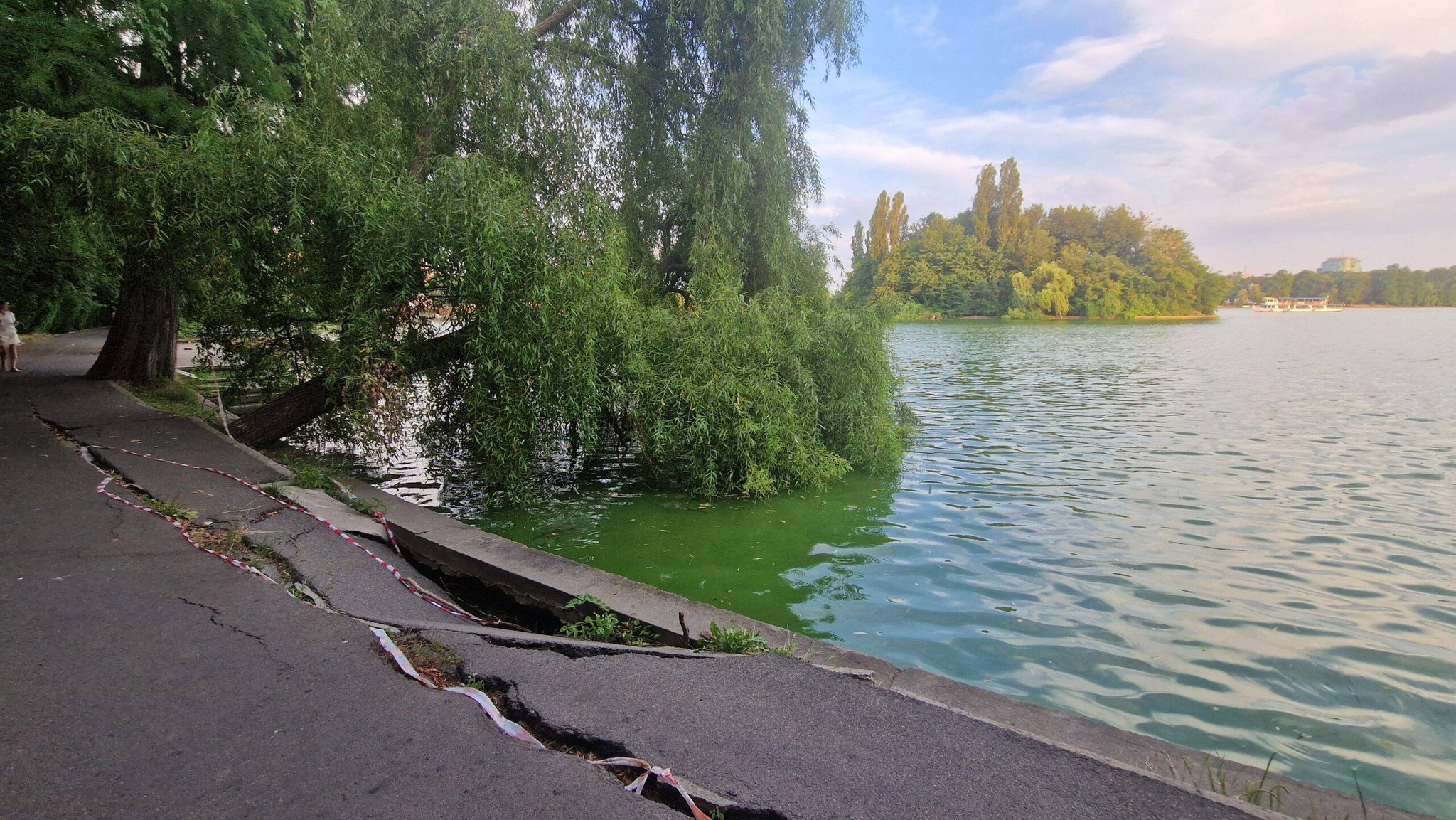 Primăria Capitalei renunță la aleea de beton în jurul Lacului Herăstrău pentru a proteja parcul