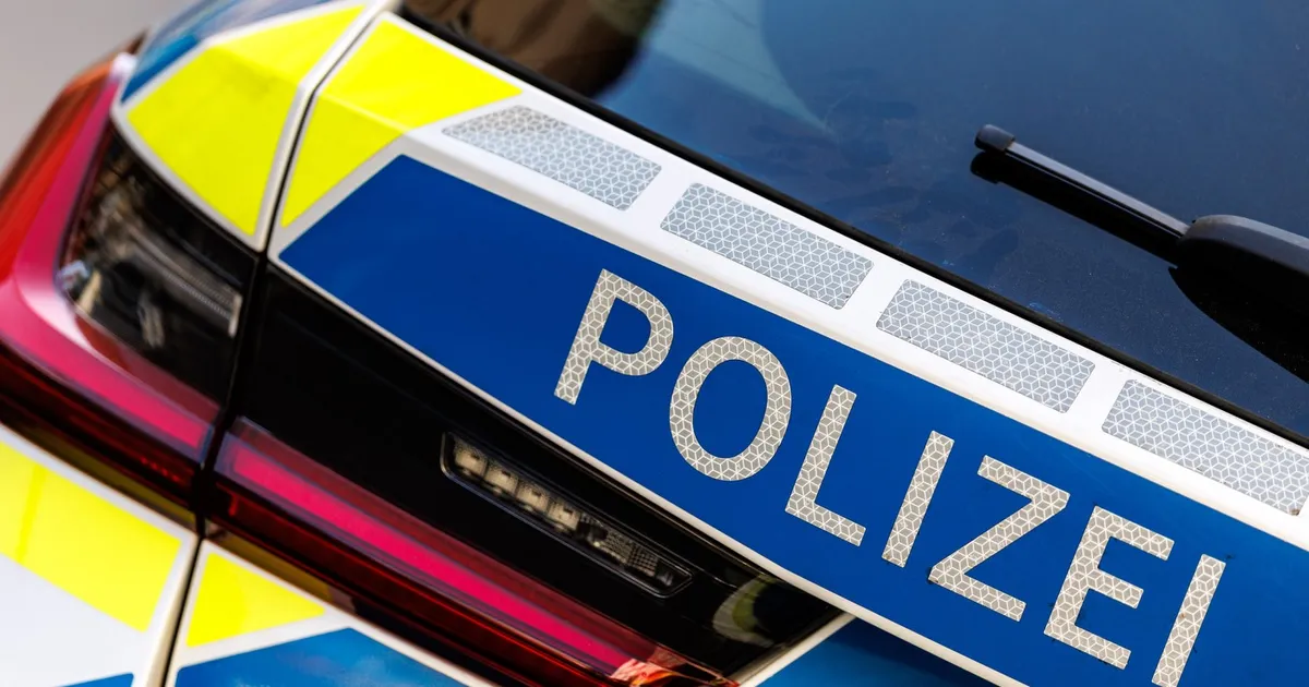 Operațiune masivă în Germania: poliția a percheziționat vilele unui clan de români pentru evaziune fiscală