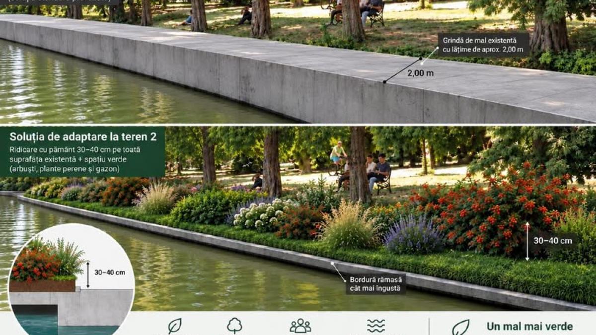 Primăria Capitalei modifică planul de lucrări în Herăstrău: copacii sănătoși vor fi păstrați