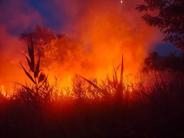 Incendiu în Tulcea după căderea unui obiect care ar putea fi o dronă, anunță MApN