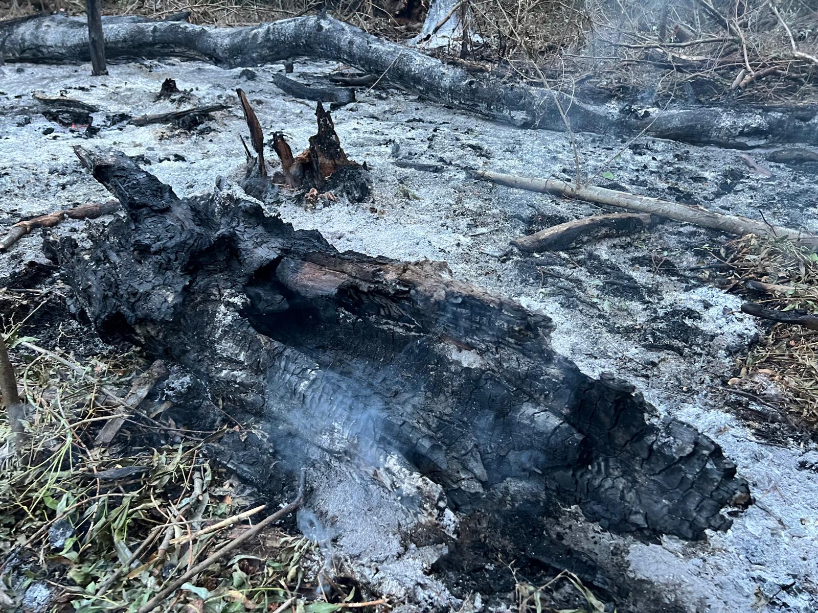 Incendiu în Tulcea după căderea unui obiect, posibil o dronă, în zona localității Plauru