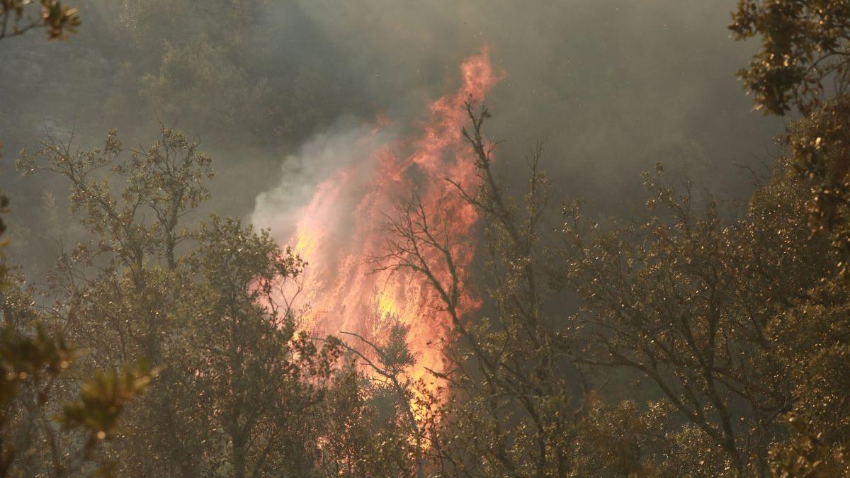 Alertă în Tulcea: un obiect, posibil o dronă, a căzut în zona Plaurului și a provocat un incendiu