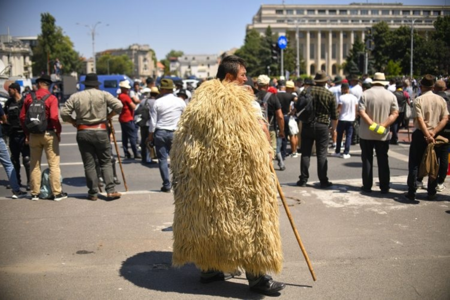 Protest al fermierilor în fața Guvernului: Sute de crescători de ovine și agricultori în Piața Victoriei