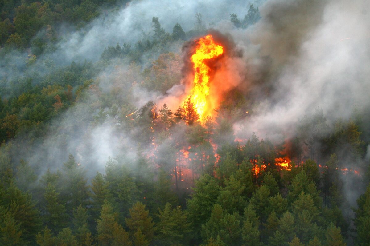Două avioane C-27J Spartan ale Forțelor Aeriene Române luptă cu incendiul de pădure din zona Băile Olănești