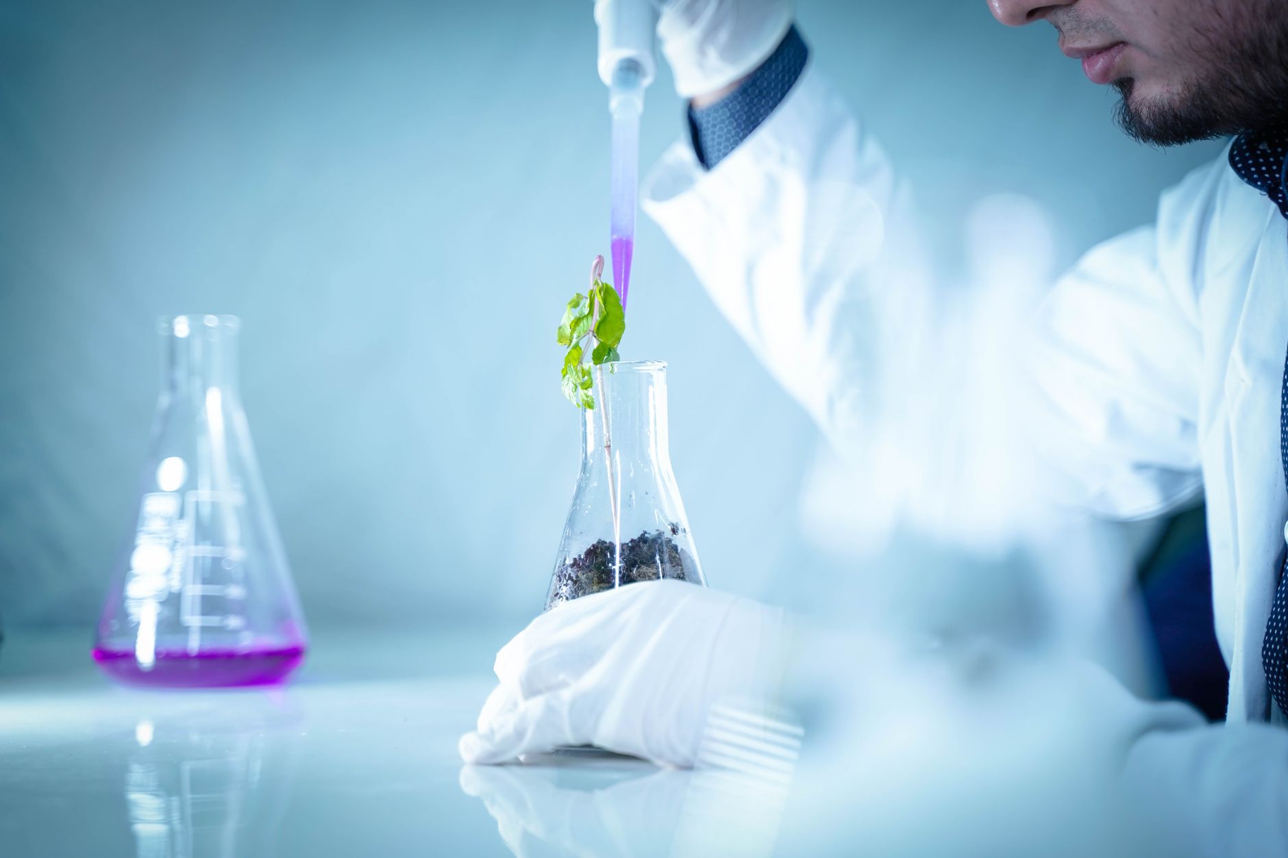Caz de ciumă înregistrat în Rusia: o angajată a unui institut specializat a murit