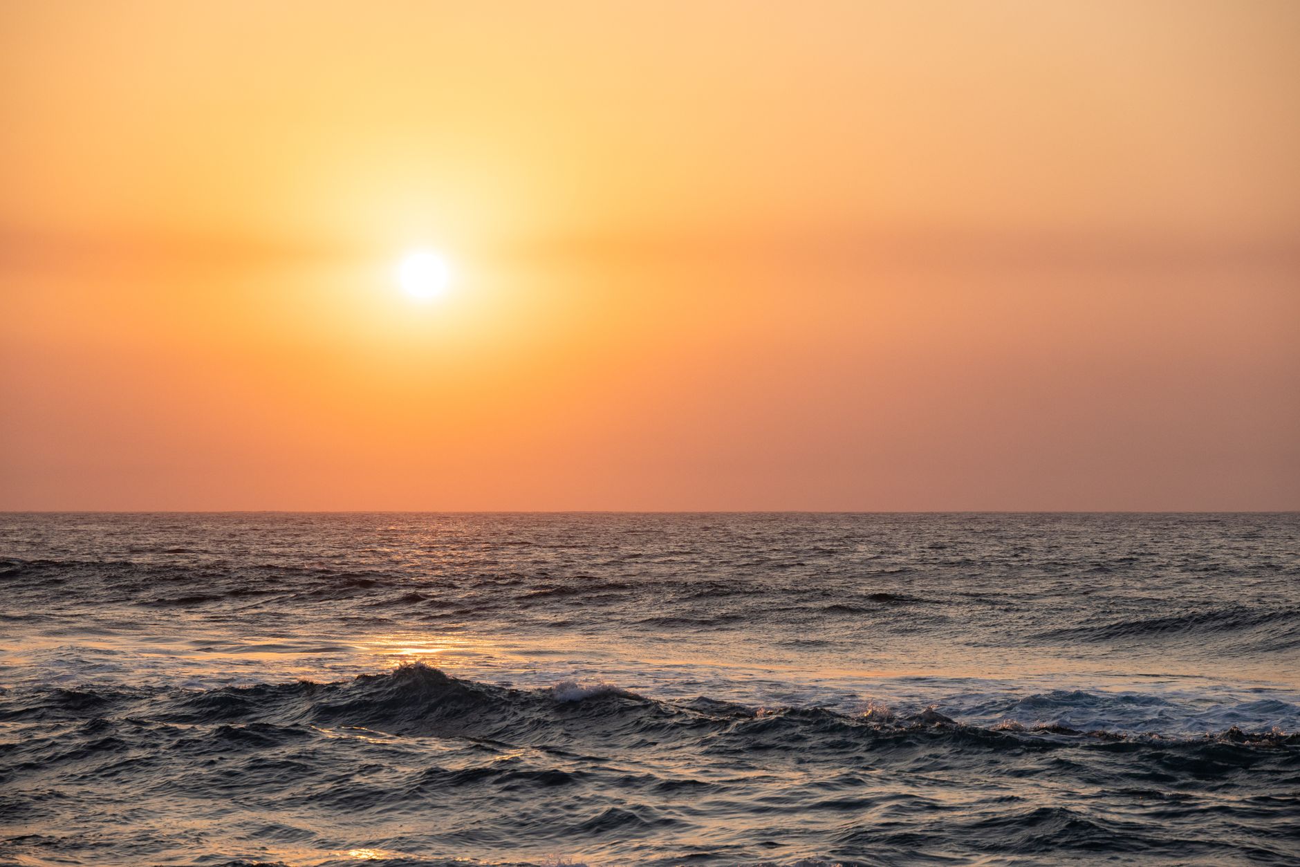 Valurile de căldură marine transformă ecosistemele și afectează pescuitul în Europa