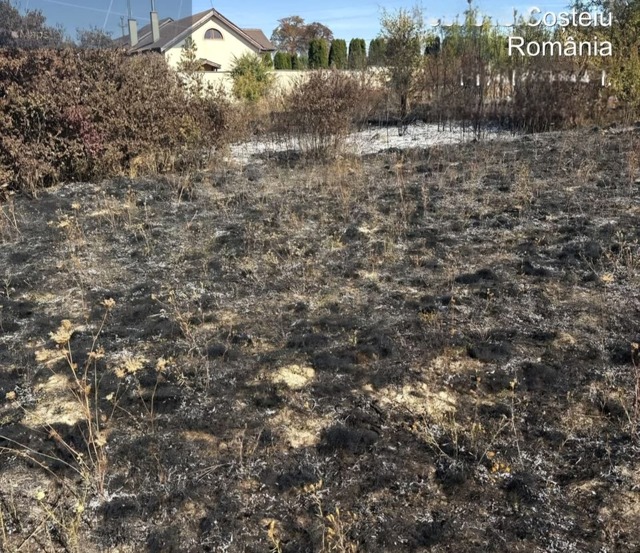 Incendii masive în județul Timiș: peste 40 de hectare de teren au ars în doar o zi
