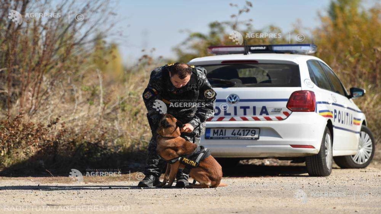 Fetița de 7 ani dispărută în Argeș a fost găsită întreaga și sănătoasă în pădure