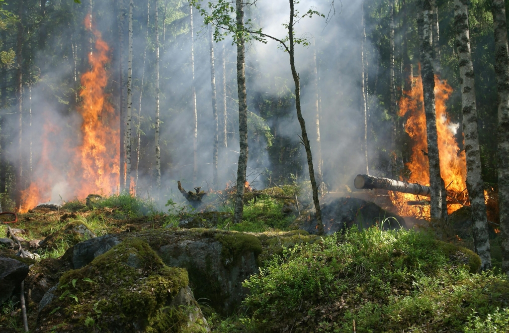 Operațiuni dificile în masivul Retezat: Pompierii și alpiniștii luptă cu incendiul din zona Cheile Buții