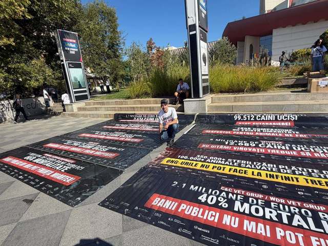 Protest masiv la București pentru drepturile animalelor: se cere oprirea eutanasierii și a suferinței în ferme