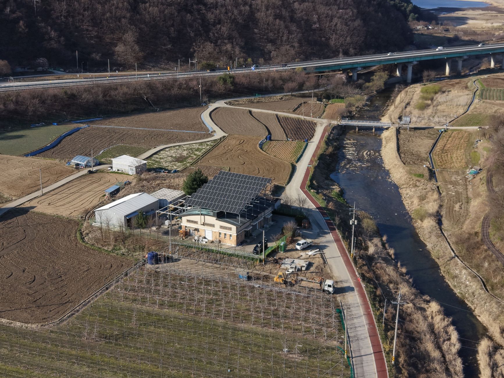 Panouri solare roz pot permite cultivarea plantelor și producerea de energie pe același teren