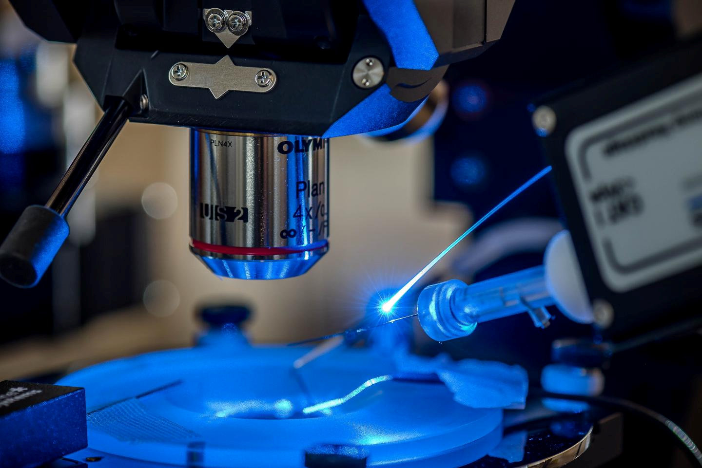 Optogenetica, tehnologia care a câștigat Premiul Nobel pentru Medicină în 2026